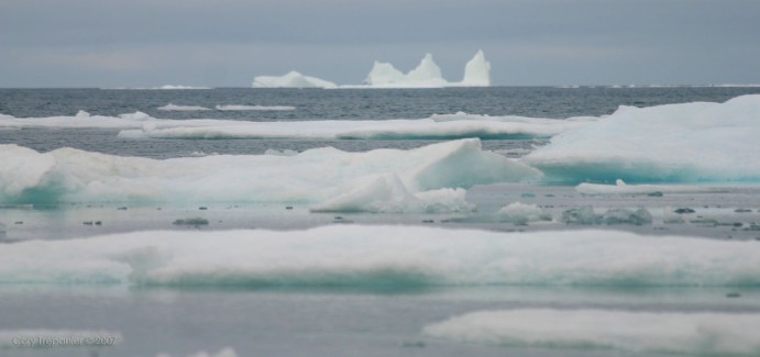 From the community of Clyde River we began our excursion by boat northward toward Sam Ford Fiord. Ice pack in Clyde River's bay delayed us by a day, and looked like it might cause problems further up the coast. But the winds changed direction and fortunately, the pockets of ice that were left weren't thick enough to block our passage.