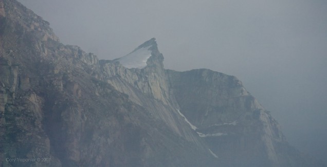 A peak through the fog.