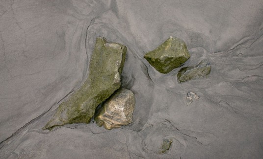 Despite all the amazing big scenery all around, there is much beauty to be found in other natural designs underfoot.