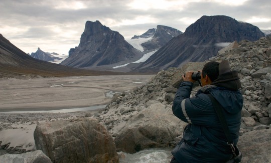 Jayko scouts the land for signs of polar bears or caribou.