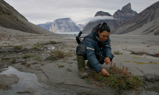Jayko picking a local edible plant.