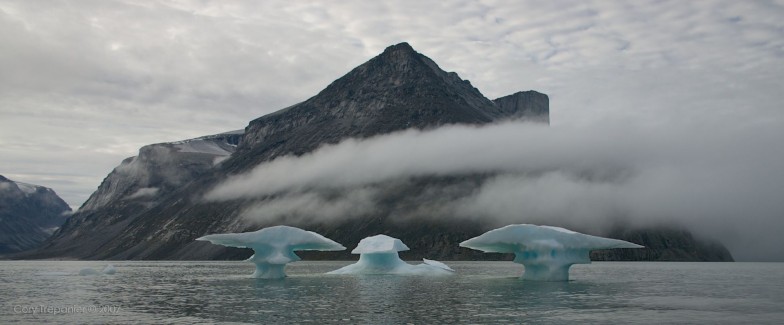 Ice shaped like mushroom sculptures.